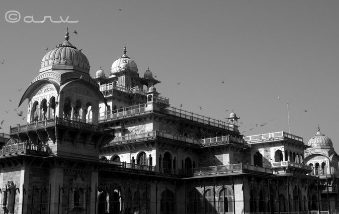 albert- hall-museum-jaipur