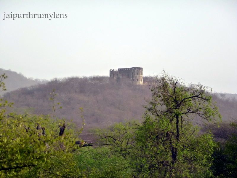 jhalan forest jaipur