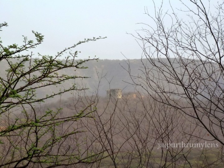 jhalana-forest-jaipur