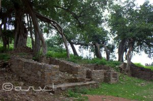 travel-to-bhangarh