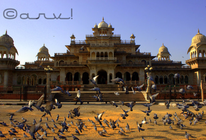albert-hall-jaipur-museum
