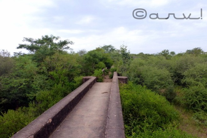 heritage-water-walk-in-jaipur