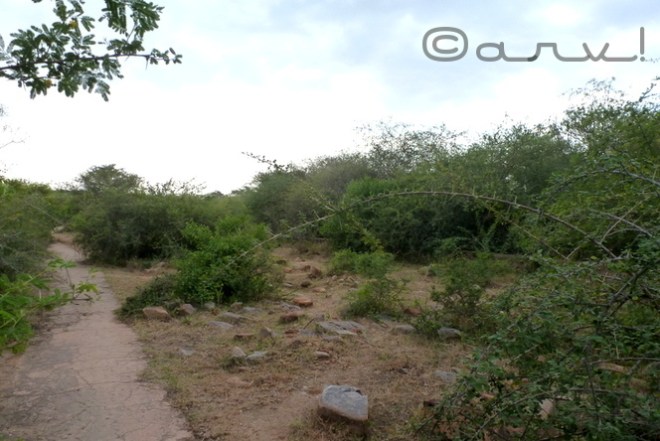 heritage-water-walk-jaipur-nahargarh