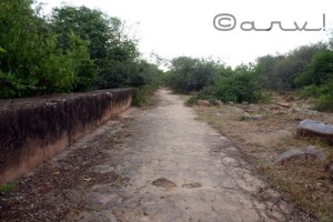 jaipur-heritage-water-walk-nahargarh