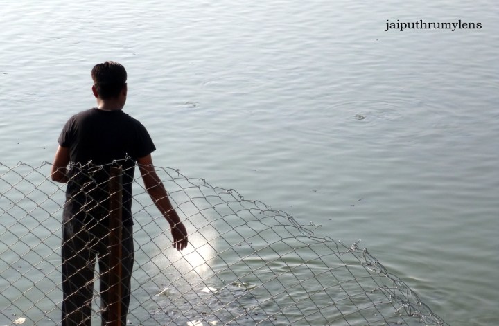 jal mahal conservation