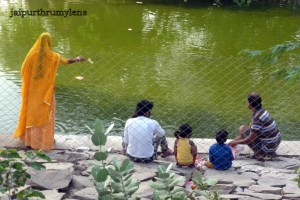 mansagar-conservation