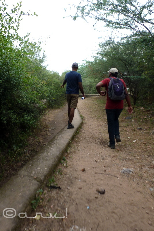 water_walk_jaipur_nahargarh_fort