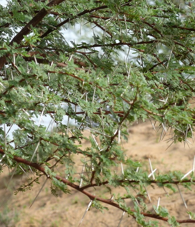 weekly photo challenge jaipur