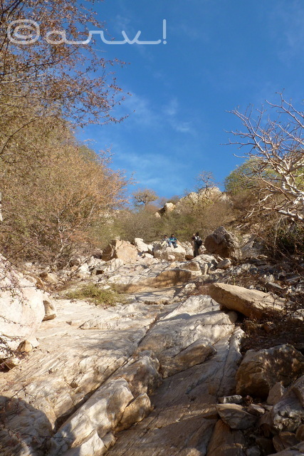 hiking-jaipur-kadamba-difficult-section
