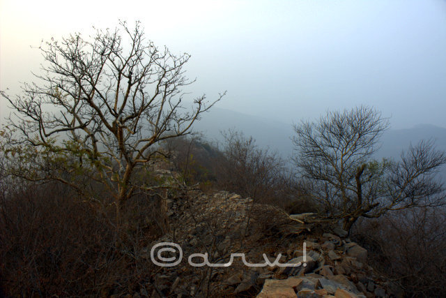fog-on-hill-hiking-in-jaipur-jaipurtrekkers-jaipurthrumylens