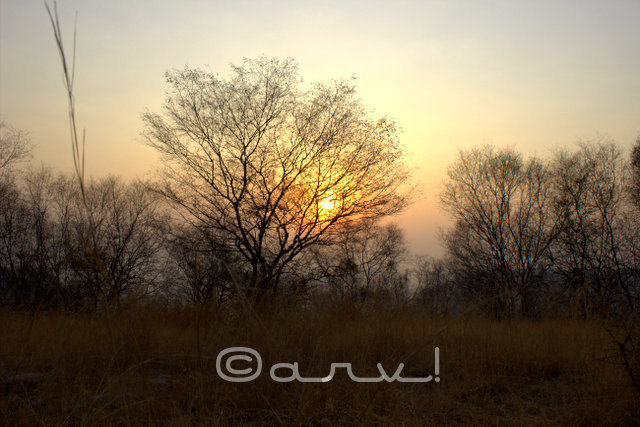 hiking-trekking-in-jaipur-hills-winters-friday-skywatch-jaipurthrumylens