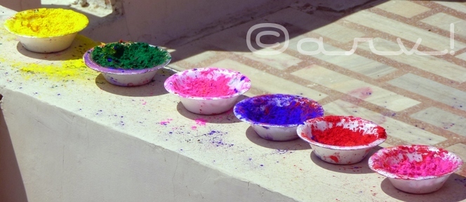 festival-of-colours-holi-in-jaipur-celebrations-blog-on-jaipur-jaipurthrumylens