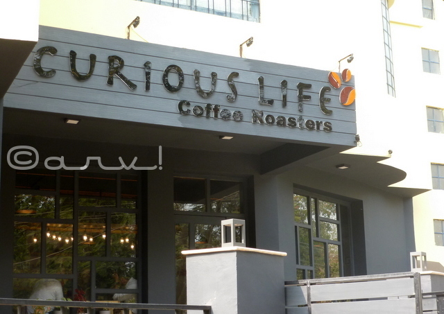 picture of curious life coffee roasters c scehme near deer park jaipur