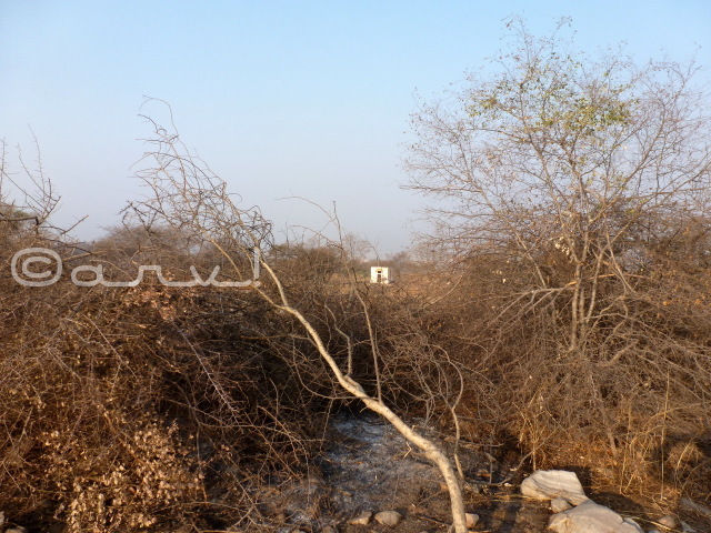 stories from jaipur while hiking in jungles on jaipurthrumylens