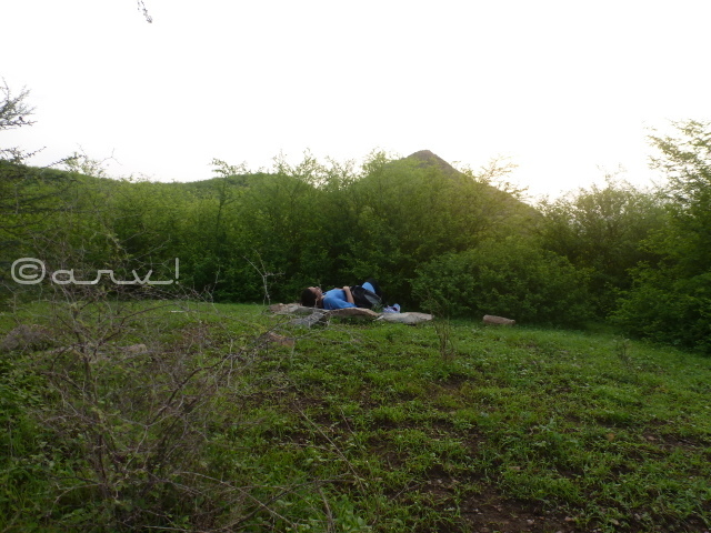 jhalana-forest-in-jaipur-weekly-photo-challenge-earth-jaipurthrumylens