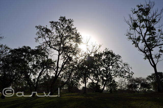 silhoutte-sunrise-central-park-jaipur-summer-sun-jaipurthrumylens
