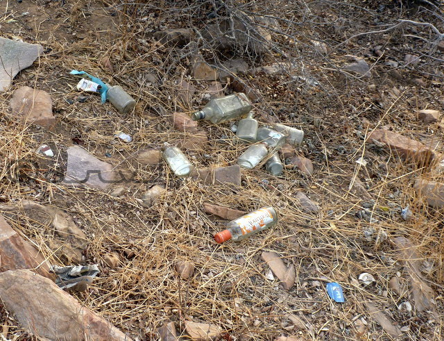 world-environment-day-garbage-on-nahargarh-hill-jaipur