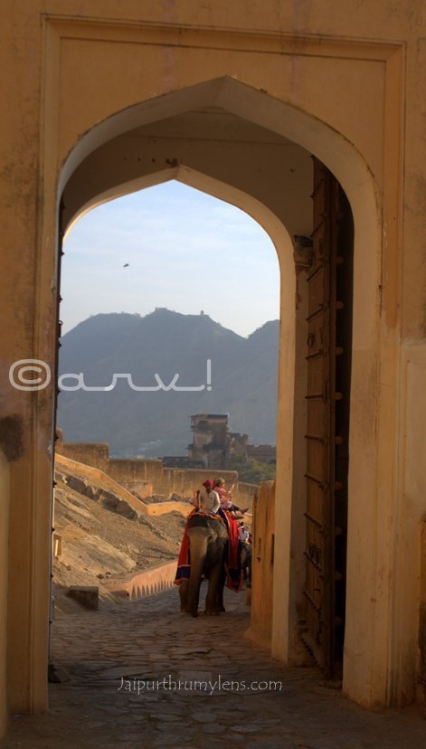 elephant-ride-amer-fort-charges-elephantstand-jaleb-chowk-jaipurthrumylens
