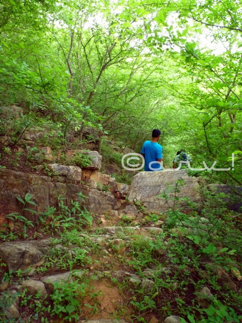 hiking-trekking-in-jaipur-jungles-jaipurthrumylens