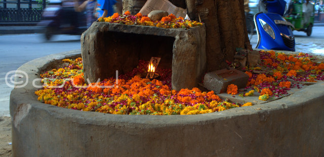 janmasthmi-celebration-jaipur-lord-krishna-birthday-jaipurthrumlens