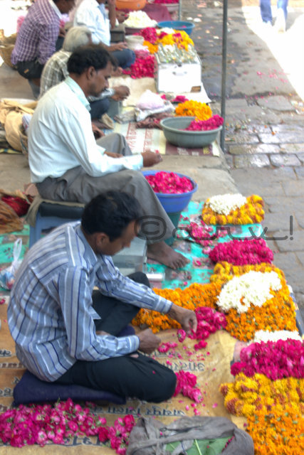 marigold-rose-flower-sellers-badi-chaupar-hawa-mahal-jaipur