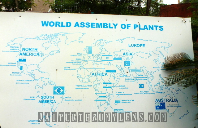 world-assembly-of-plants-world-forestry-arboretum-jaipur