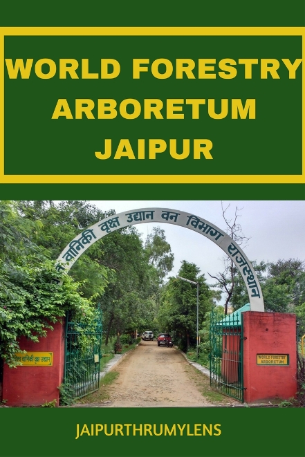 world forestry arboretum jaipur Forest Deaprtment