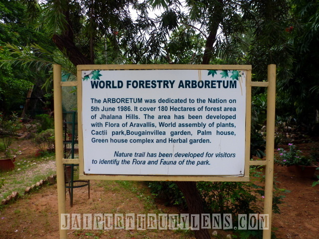 world-forestry-arboretum-jaipur-jhalana-jaipurthrumylens