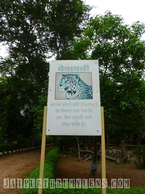 world forestry arboretum jaipur