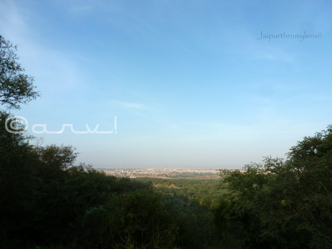 jaipur-city-view-weekly-photo-challenge-edge-jaipurthrumylens-forest-nature