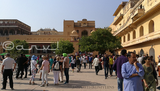 amer-fort-palace-jaipur-picture
