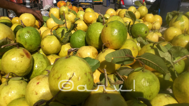 guvava-for-sale-on-hand-cart-in-jaipur-market-johari-bazaar-fruits-rajasthan-india