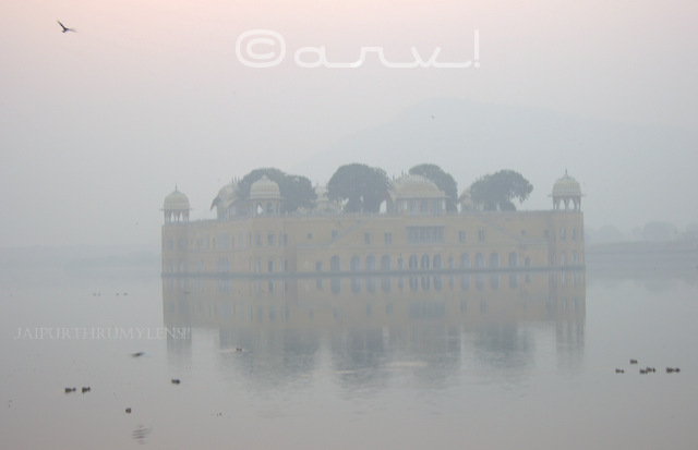 jal-mahal-jaipur-water-palace-mansagar-lake-jaipurthrumylens-skywatch-friday