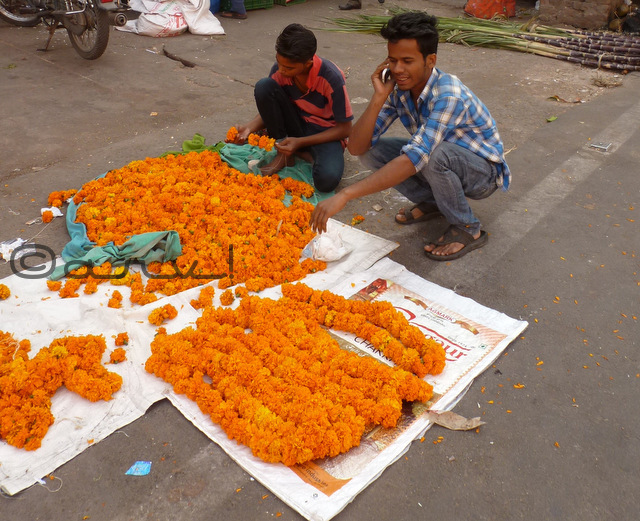marigold-garland-for-sale-in-johari-bazaar-jaipur-diwali-celebration