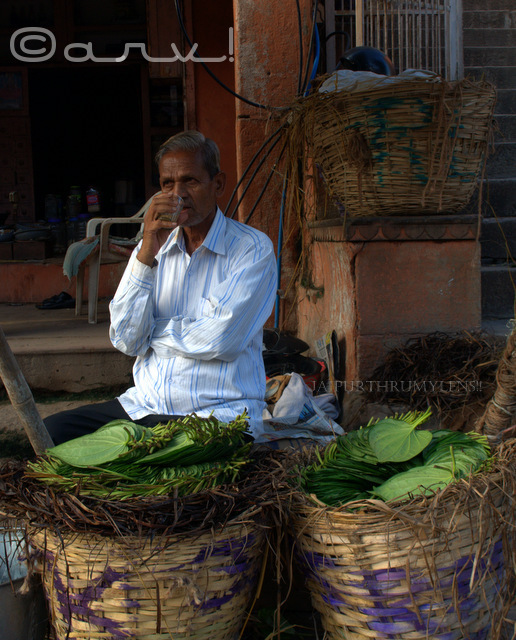 pan-walla-paan-in-jaipur-jaipurthrumylens-rajasthan-india