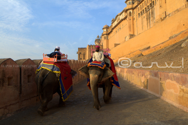 rajput-mughal-architecture-amalgamation-amer-fort-jaipur-jaipurthrumylens