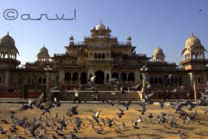 albert-hall-museum-jaipur-samuel-swinton-jacob-ramniwas-garden-jaipurthrumylens