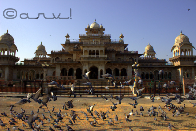 albert-hall-museum-jaipur-samuel-swinton-jacob-ramniwas-garden-jaipurthrumylens