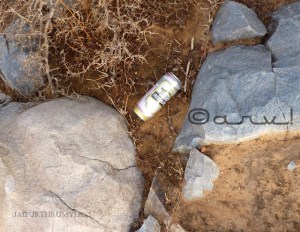beer-can-littering-on-nahargarh-road-environment-conservation-jaipur
