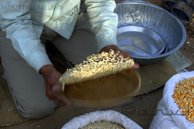 bird-feed-grains-seller-jaipur-bazzar-market-photography-walk