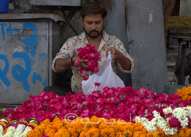 street-scene-in-jaipur-flower-seller-badi-chaupar