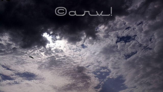 skywatch-friday-monsoon-in-jaipur-overcast-clouds-with-eagle-in-flight-jaipurthrumylens