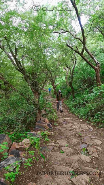 Trekking & Exploring the Monsoon Forests in Jaipur – JaipurThruMyLens