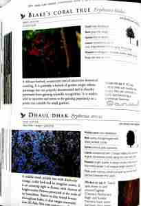 pradip-krishen-trees-of-delhi-book-review-pdf