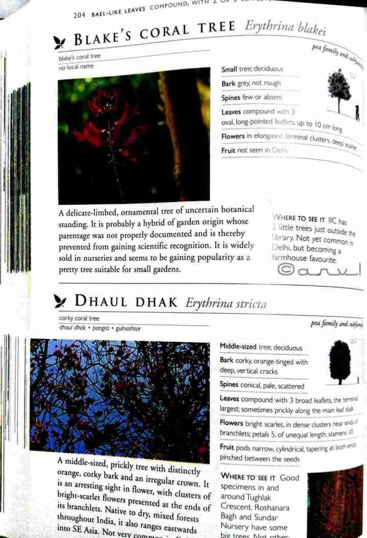 pradip-krishen-trees-of-delhi-book-review-pdf