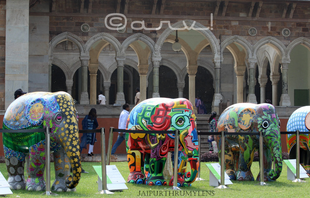 elephant-parade-india-exhibitio