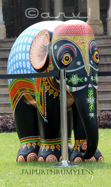 hand-painted-elephant-parade-india-jaipur