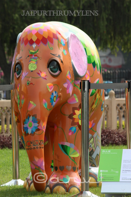 painted-elephant-parade-jaipur-india-dilip-sharma