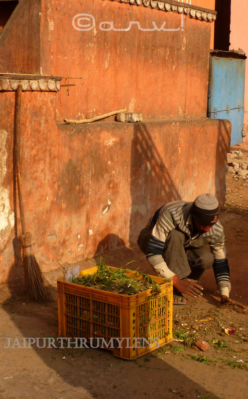clean-jaipur-green-jaipur-india-house-cleaning