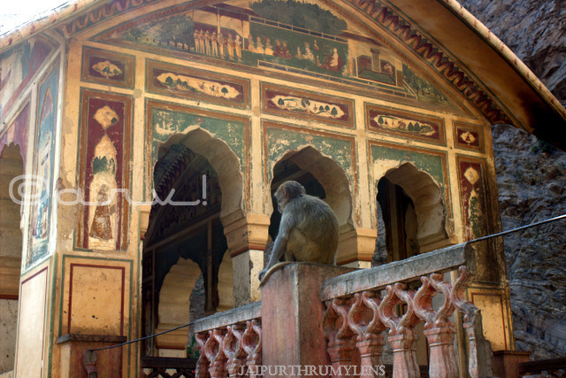 galta-monkey-temple-jaipur-architecture-india